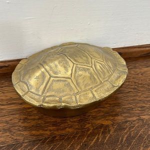 Turtle Shell Keepsake Box, Realistic, Boho Decor